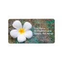 Search for beautiful blooms return address labels Flowers
