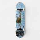 Search for predators skateboards Bird