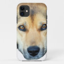 Search for colourful dogs iphone cases Animals