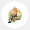 Search for ornithologist stickers Watching