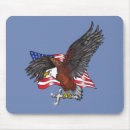 Search for crossed flags electronics Usa