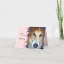 Search for collie birthday cards Photography