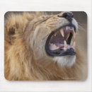 Search for botswana electronics Outdoors