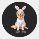 Search for rabbit hunter stickers Archery