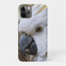 Search for aussie iphone cases Wildlife