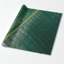 Search for banana leaf wrapping paper Plant