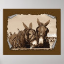 Search for mules art Rural