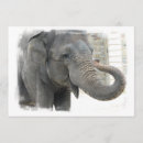 Search for trunk invitations Elephant