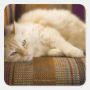 Search for sofa stickers Indoors