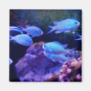 Search for saltwater magnets Nautical