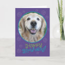 Search for golden retriever birthday cards Humour