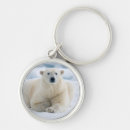 Search for pack key rings Arctic
