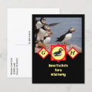 Search for puffins invitations Bird