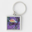 Search for okinawa key rings Swimming