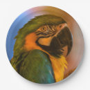 Search for parrot plates Macaw
