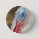 Search for farm animal badges Bird