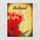 Search for holland michigan postcards Tulip