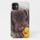 Search for labrador iphone cases Pet