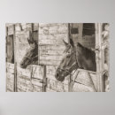 Search for horse stable posters Vintage