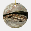 Search for reptiles christmas tree decorations Nature