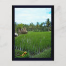 Search for hinduism Indonesia