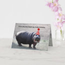 Search for funny hippo birthday cards Animal