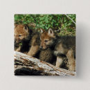 Search for timber badges Wildlife