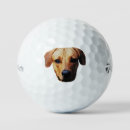 Search for taylormade golf balls Logo