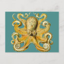 Search for molluscs postcards Wildlife