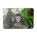 Search for snow monkey Japan