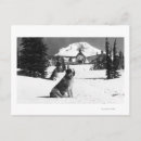 Search for timberline States