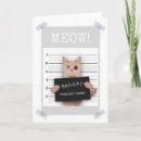 Search for cats meow cards Funny cat