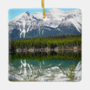Search for alberta christmas tree decorations Rockies