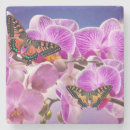 Search for tropical butterfly coasters Floral