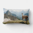 Search for peru cushions South america