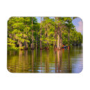 Search for bayou magnets Swamp