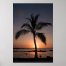 Search for hawaiian sunset posters Palm tree