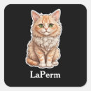 Search for laperm Animal