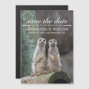 Search for meerkat invitations Adorable
