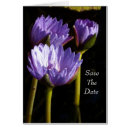 Search for special occasion cards invites Purple
