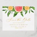 Search for grapefruit postcards Watercolor