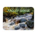 Search for brook magnets Hiking