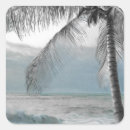 Search for coconut palm stickers Summer