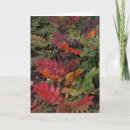 Search for pacific northwest christmas cards Green