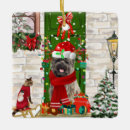 Search for cairn terrier christmas tree decorations Animal