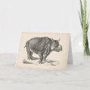 Search for animal sketch cards Wild animals