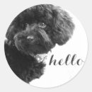 Search for black and white photography stickers Dog