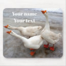 Search for geese electronics White