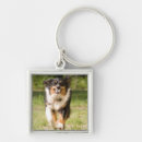 Search for no balls no play key rings Animal