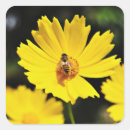 Search for cosmos flower stickers Garden